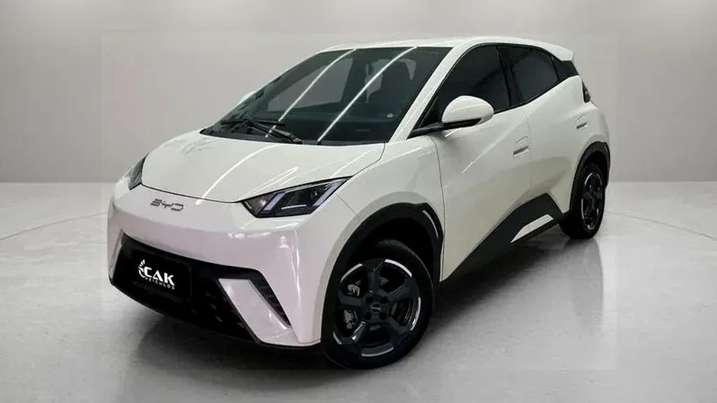 Foto de um byd dolphin