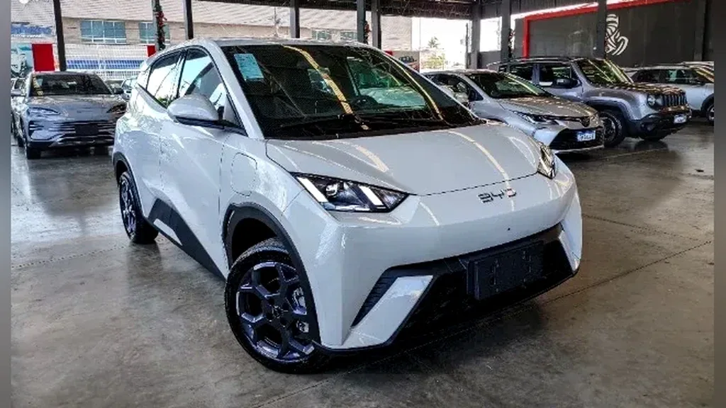 Foto de um byd dolphin mini