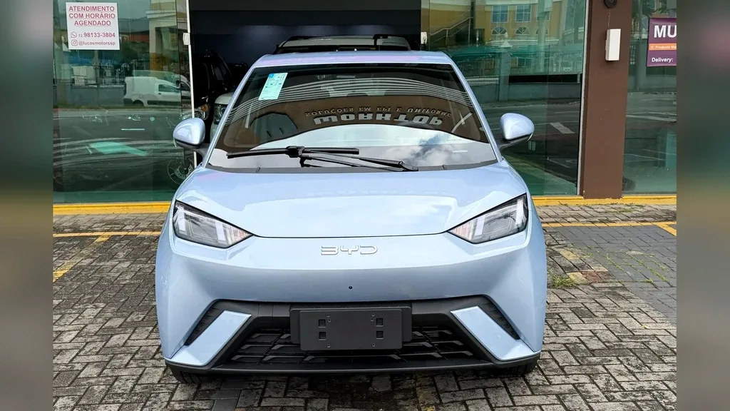 Foto de um byd dolphin mini