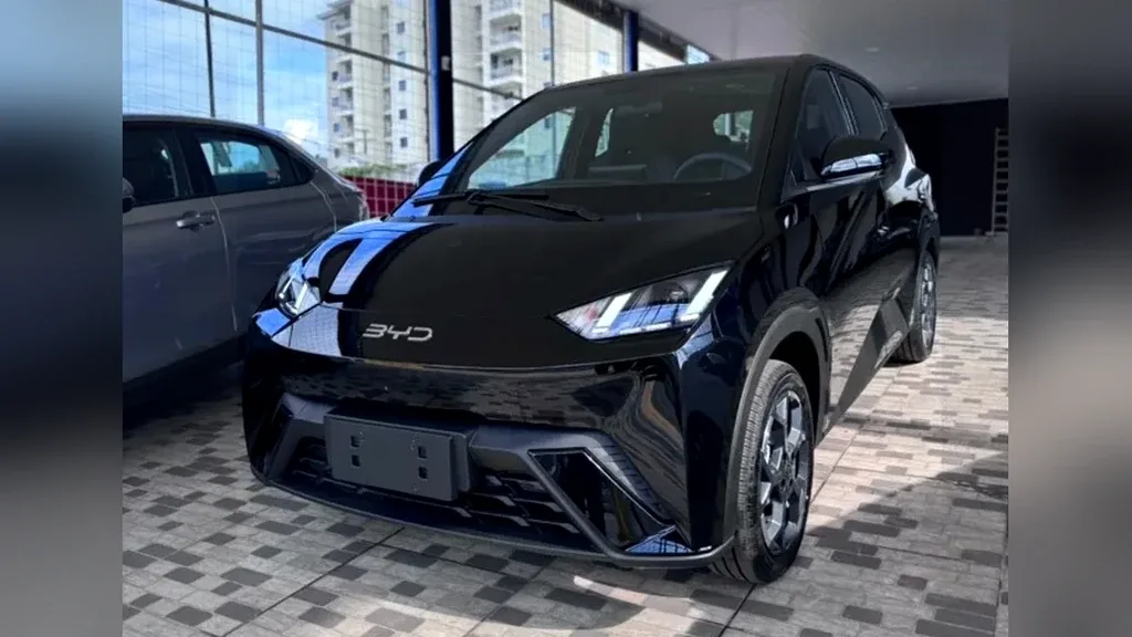 Foto de um byd dolphin mini