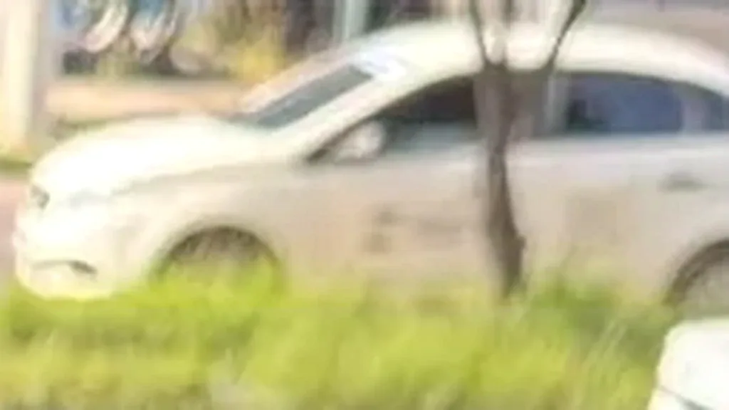 BYD Dolphin Mini - Imagem 4