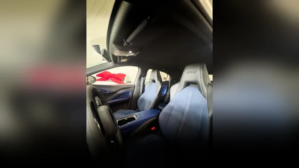 BYD Dolphin Mini - Imagem 11