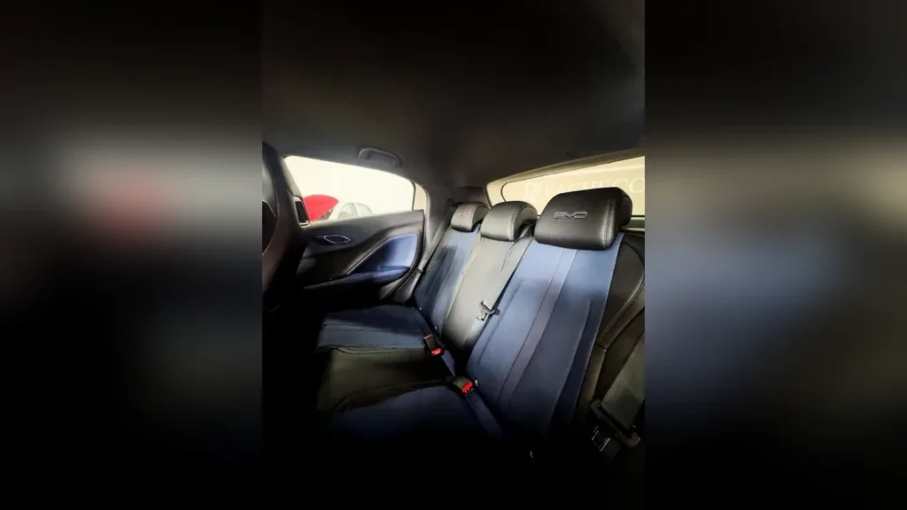 BYD Dolphin Mini - Imagem 12