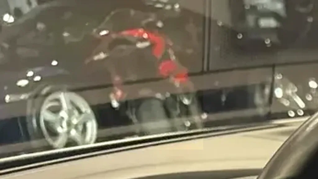 Porsche Taycan - Imagem 12