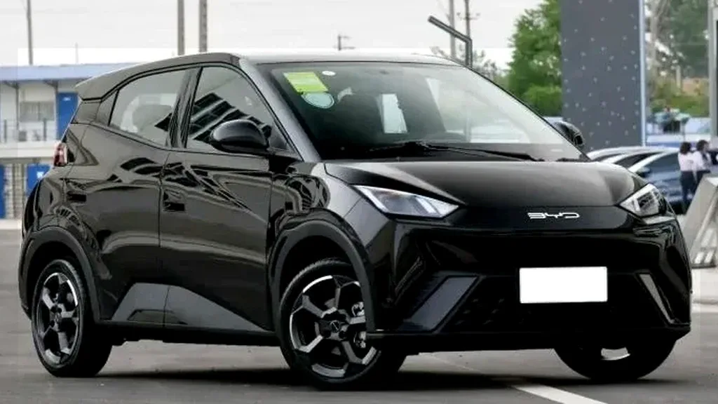 Foto de um byd dolphin mini