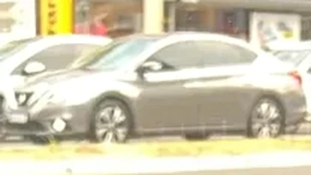 Neta Aya - Imagem 11