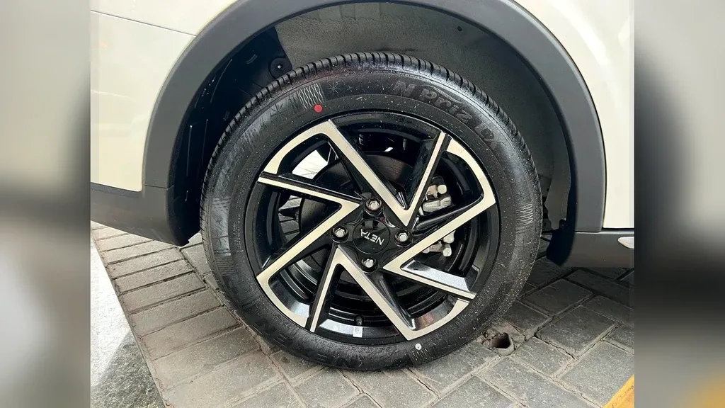 Neta Aya - Imagem 15