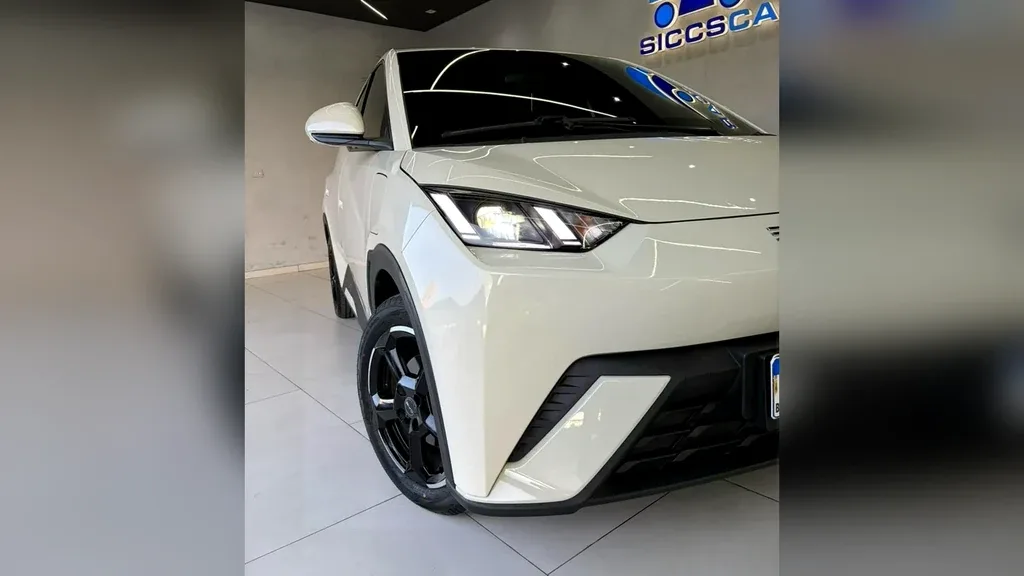 BYD Dolphin Mini - Imagem 15