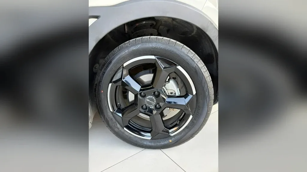 BYD Dolphin Mini - Imagem 17