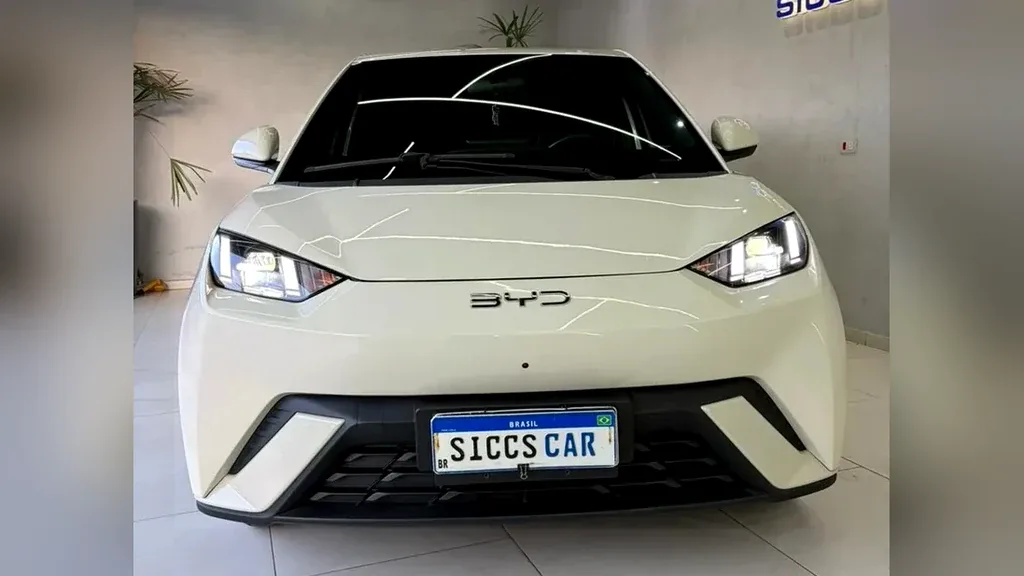 BYD Dolphin Mini - Imagem 18