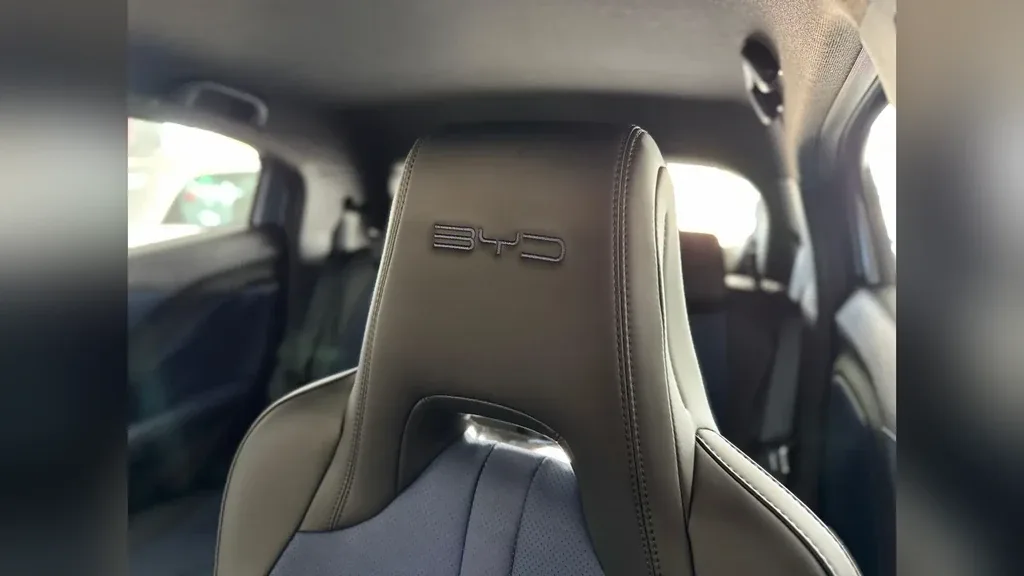 BYD Dolphin Mini - Imagem 8