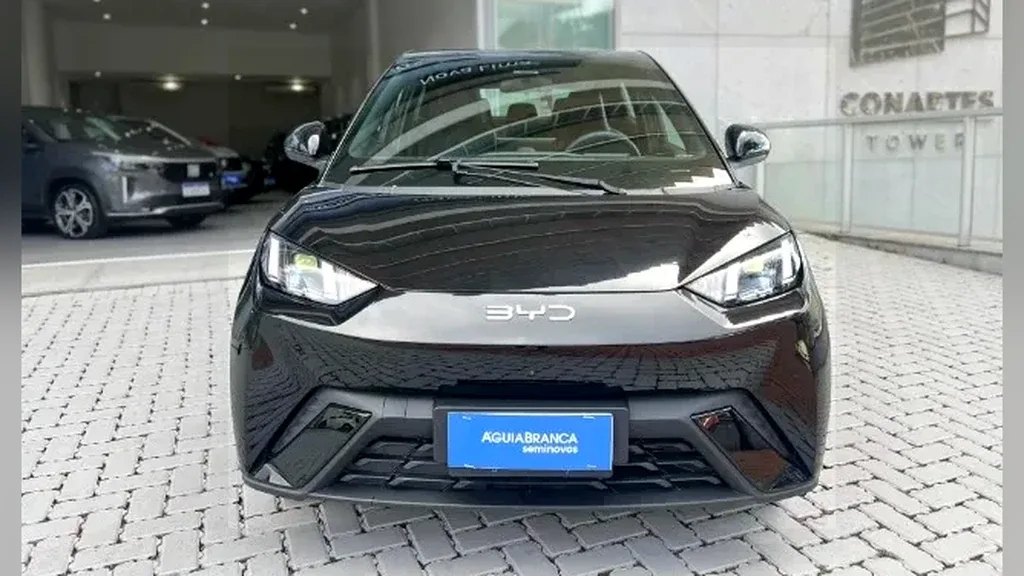 BYD Dolphin Mini - Imagem 2