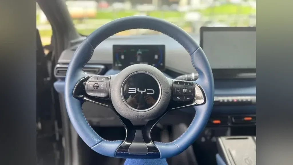 BYD Dolphin Mini - Imagem 10