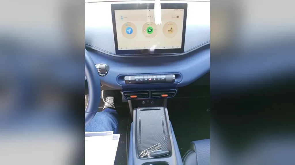 BYD Dolphin Mini - Imagem 10