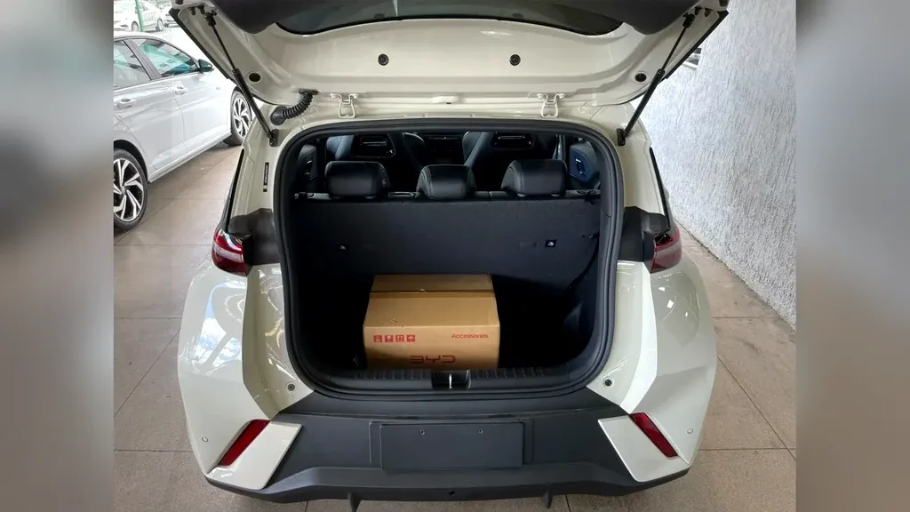 BYD Dolphin Mini - Imagem 12