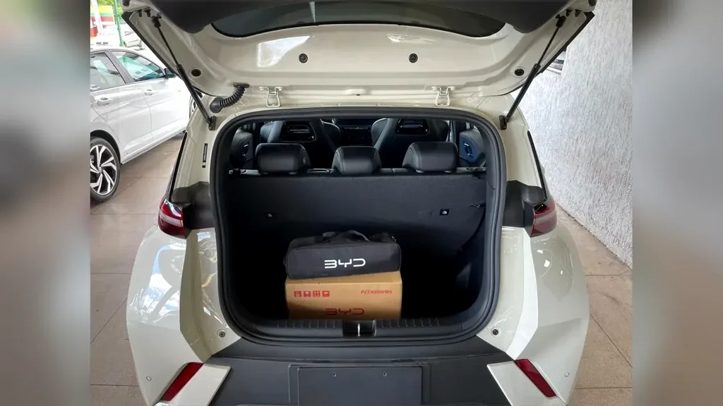 BYD Dolphin Mini - Imagem 13