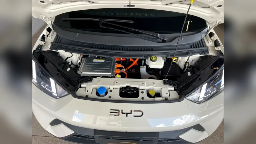 BYD Dolphin Mini - Imagem 16