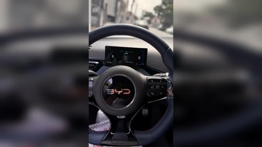 BYD Dolphin Mini - Imagem 12