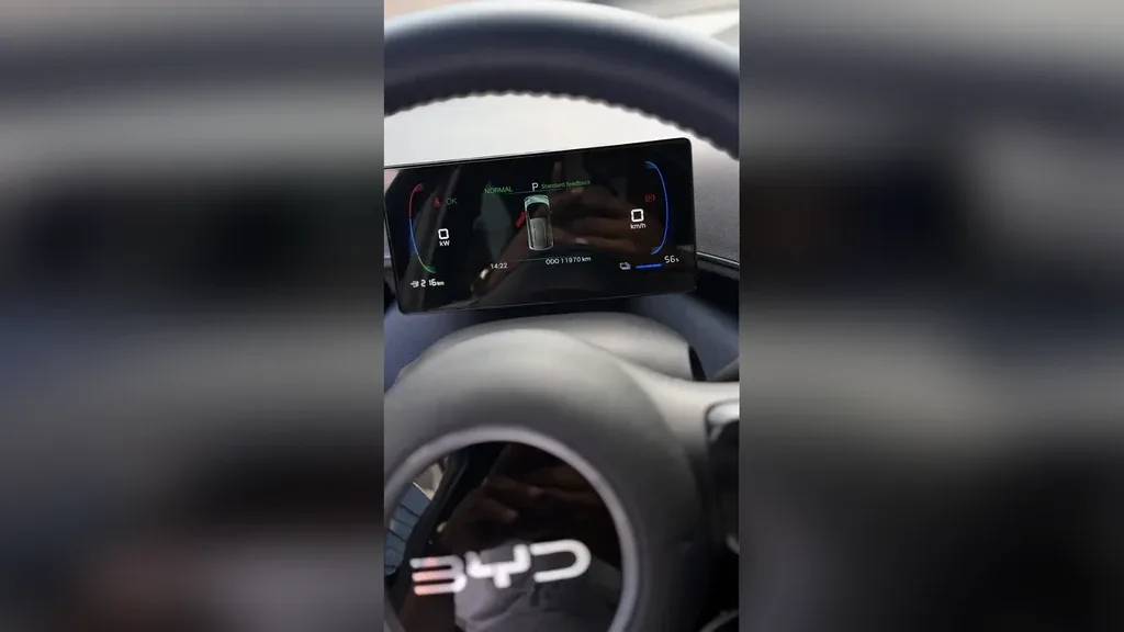 BYD Dolphin Mini - Imagem 13