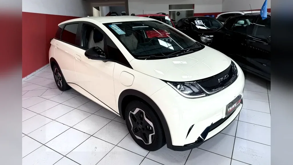 Foto de um byd dolphin