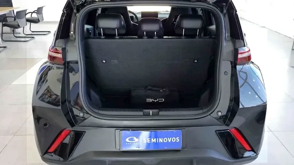 BYD Dolphin Mini - Imagem 10