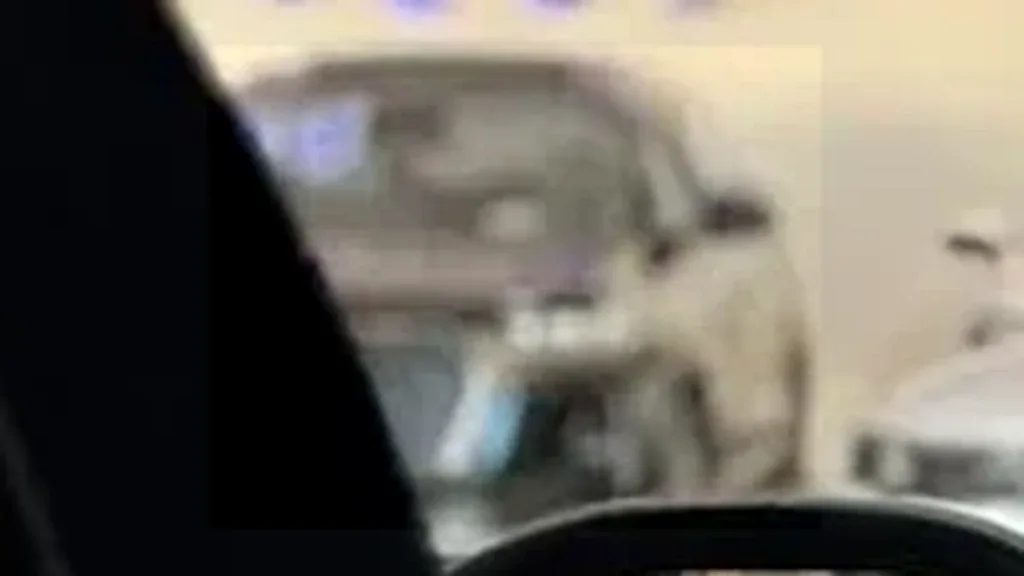 Volvo EX30 - Imagem 12