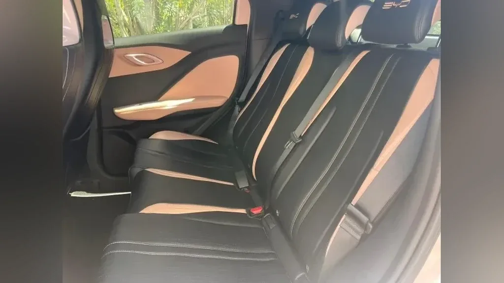 BYD Dolphin Mini - Imagem 10