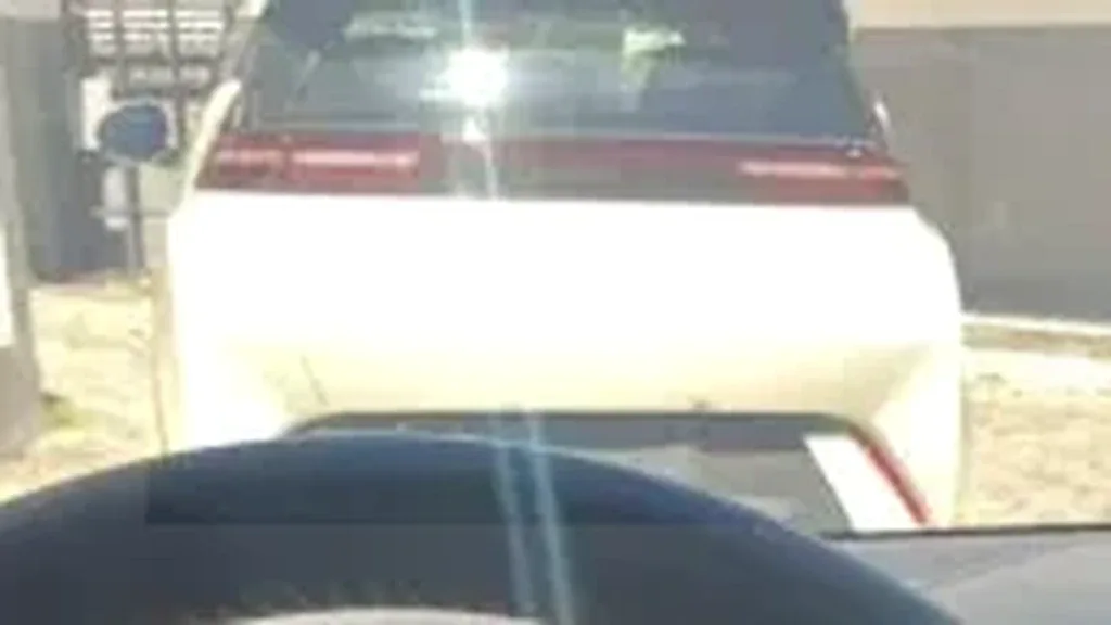 BYD Dolphin Mini - Imagem 11