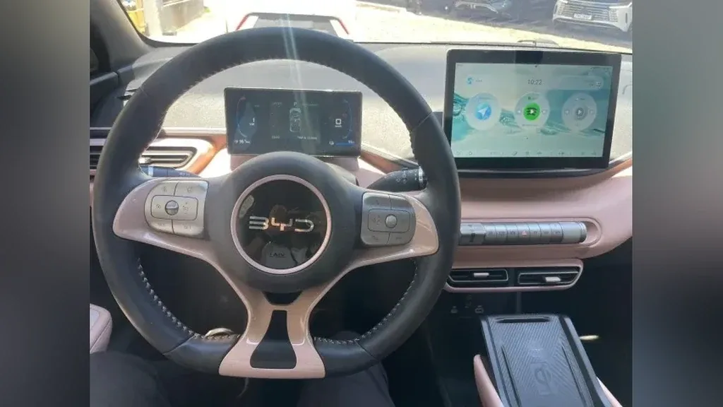 BYD Dolphin Mini - Imagem 12