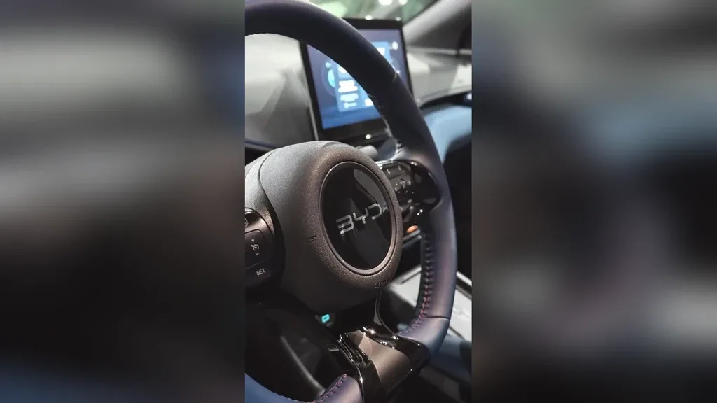 BYD Dolphin Mini - Imagem 2