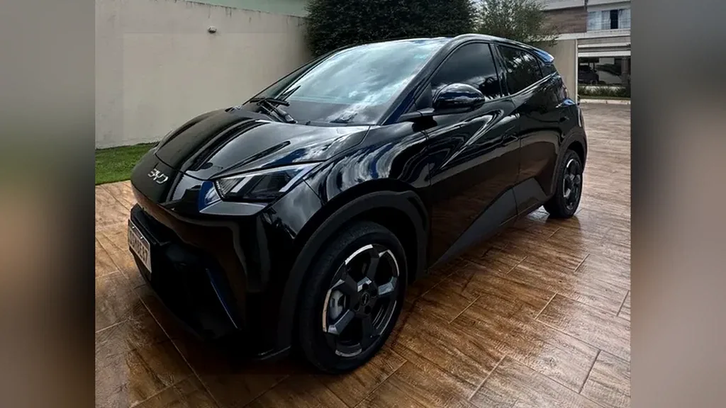 BYD Dolphin Mini - Imagem 10