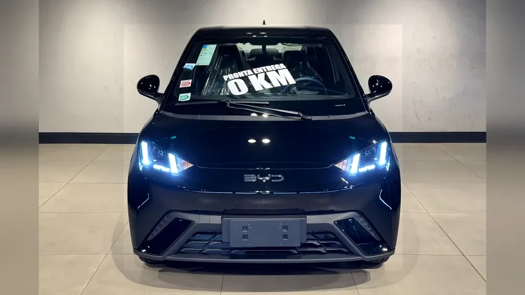 BYD Dolphin Mini - Imagem 2