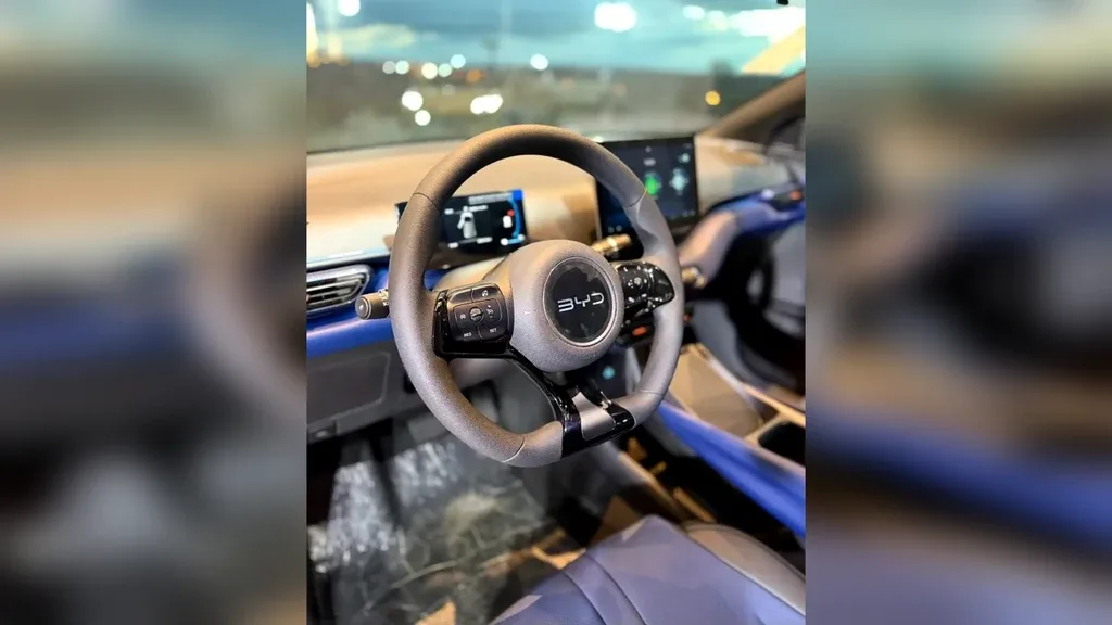 BYD Dolphin Mini - Imagem 11