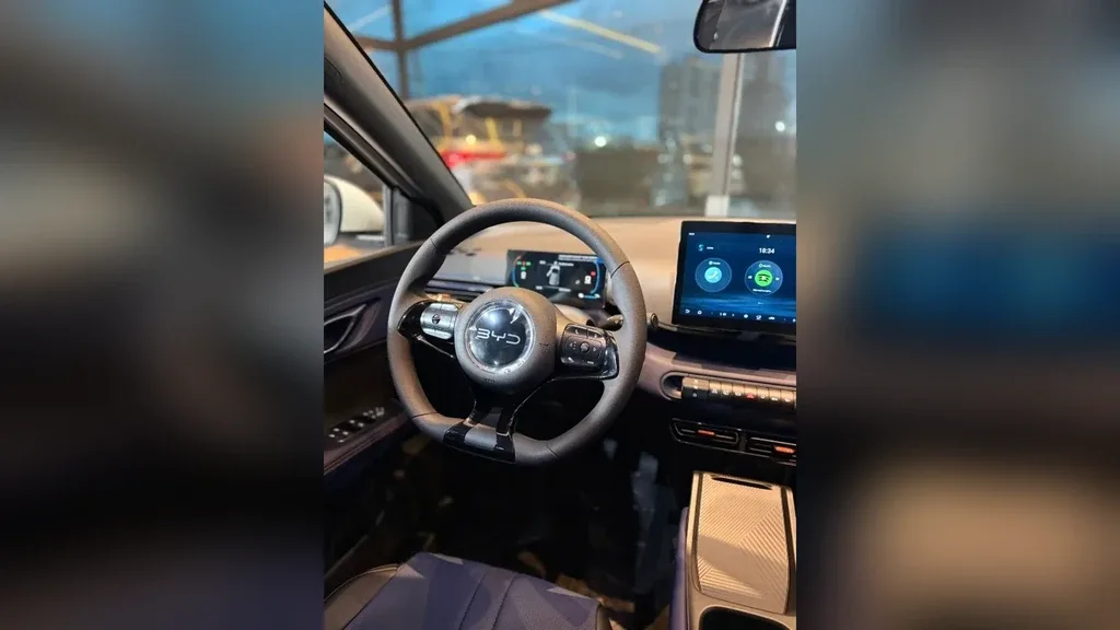 BYD Dolphin Mini - Imagem 12