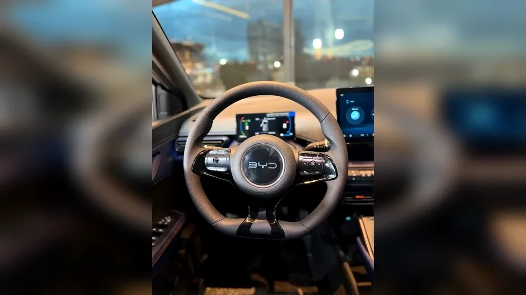 BYD Dolphin Mini - Imagem 15