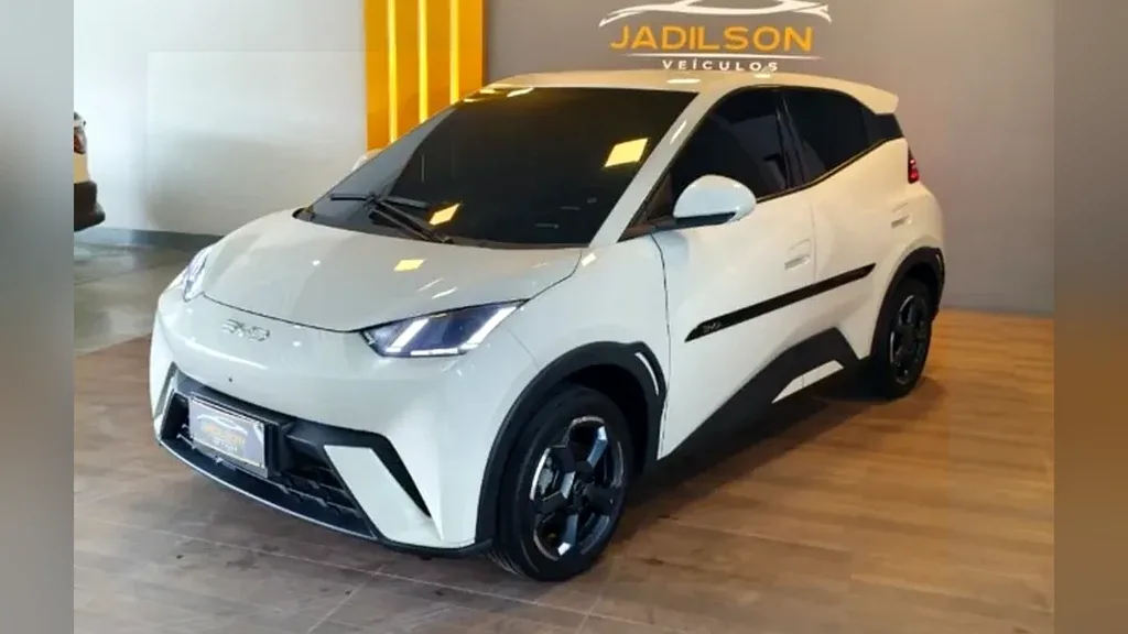 BYD Dolphin Mini - Imagem 12