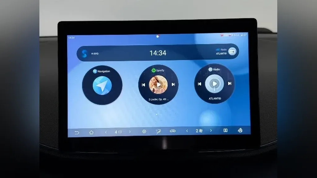 BYD Dolphin Mini - Imagem 11