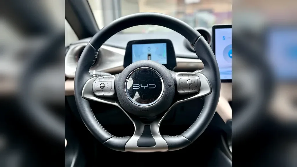 BYD Dolphin - Imagem 11