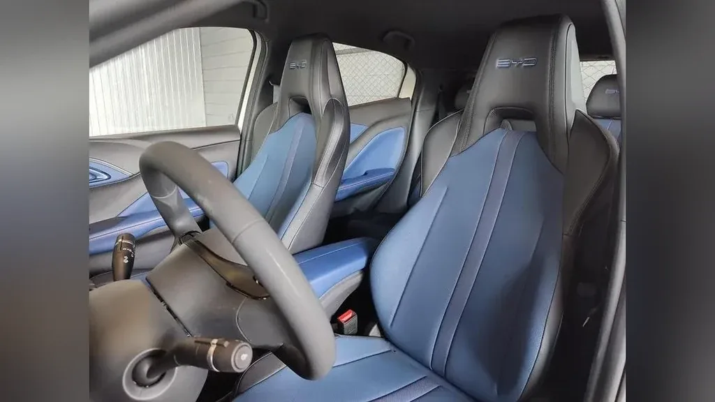 BYD Dolphin Mini - Imagem 6