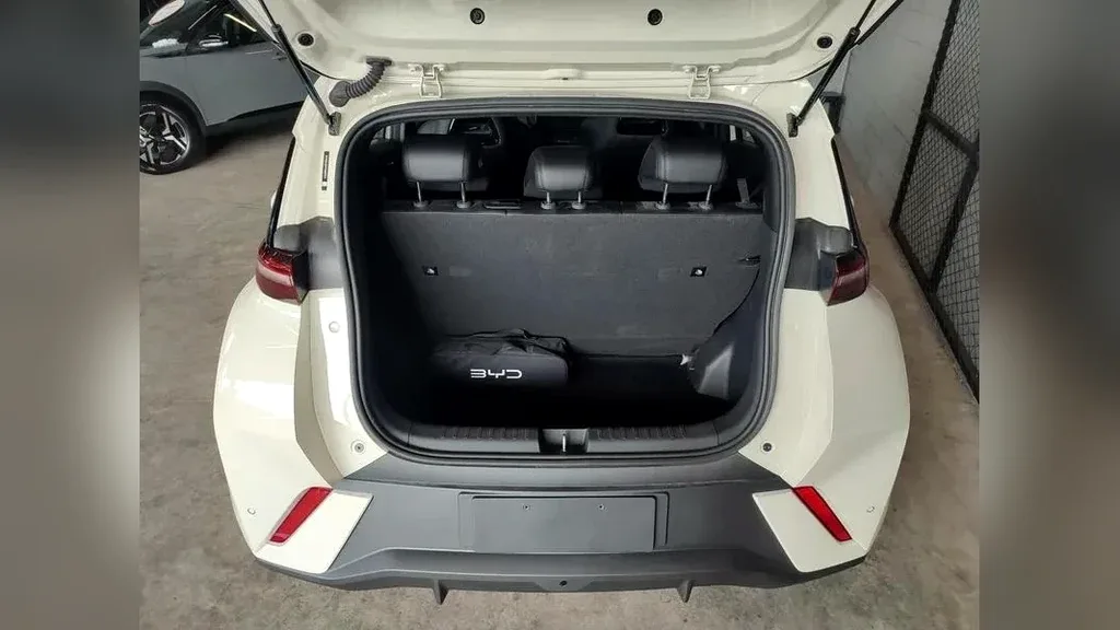 BYD Dolphin Mini - Imagem 12