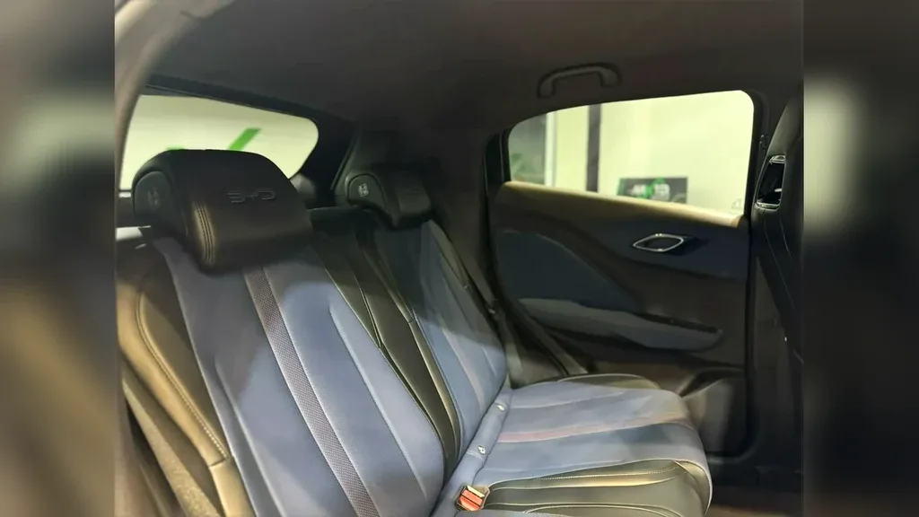 BYD Dolphin Mini - Imagem 16