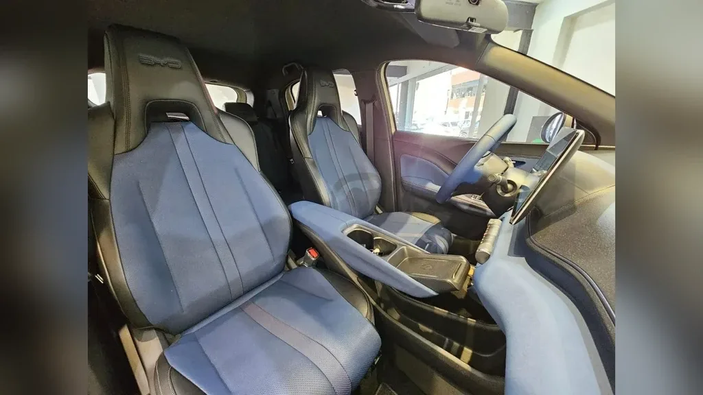 BYD Dolphin Mini - Imagem 19