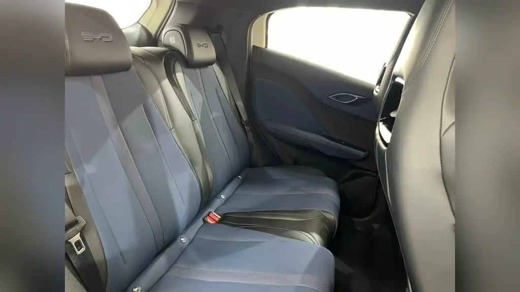 BYD Dolphin Mini - Imagem 14