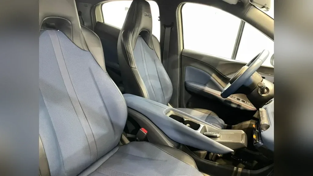 BYD Dolphin Mini - Imagem 16