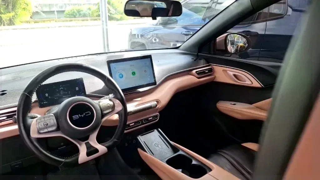 BYD Dolphin Mini - Imagem 11