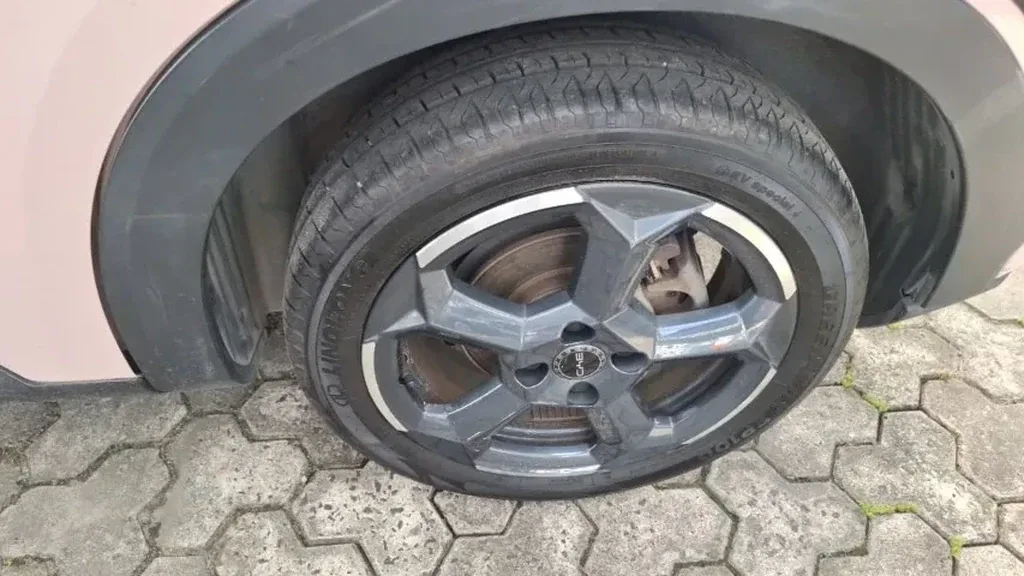 BYD Dolphin Mini - Imagem 16