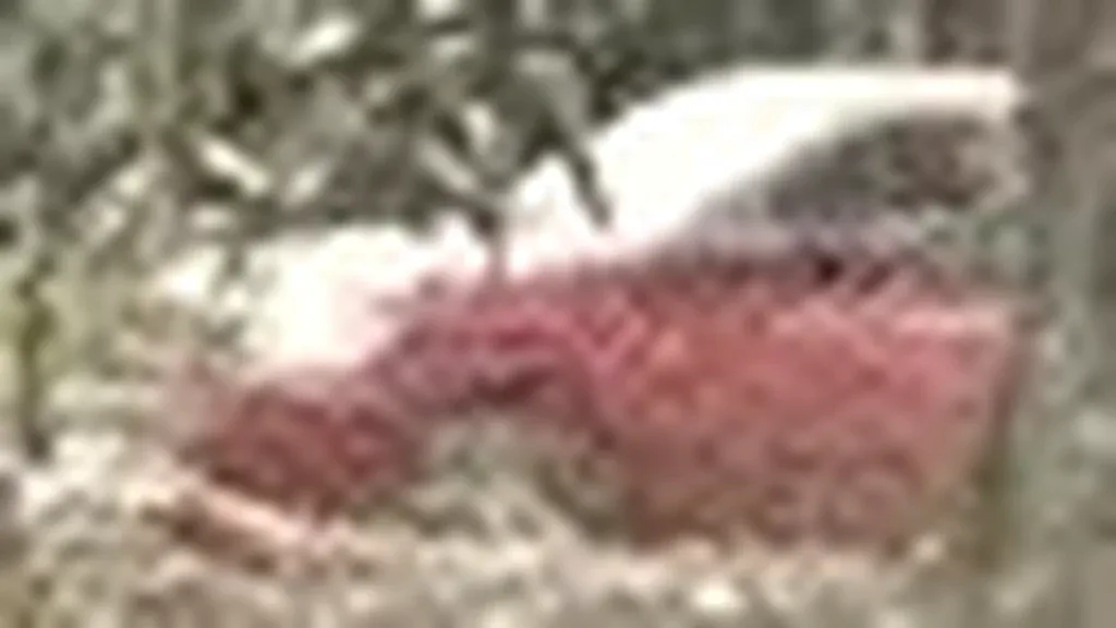 Volvo EX30 - Imagem 13