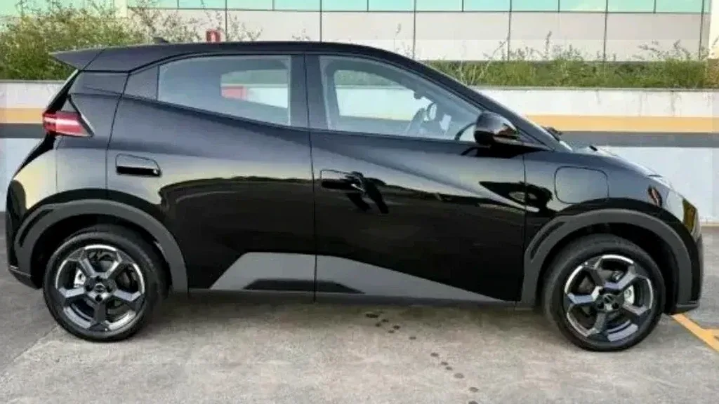 BYD Dolphin Mini - Imagem 6