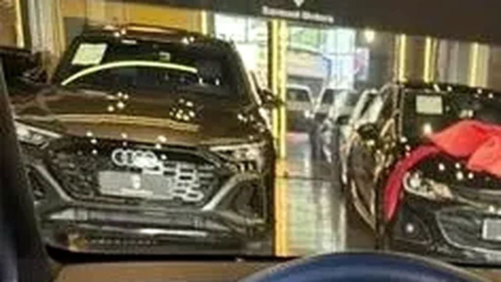 BYD Dolphin Mini - Imagem 7