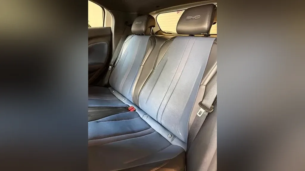 BYD Dolphin Mini - Imagem 9